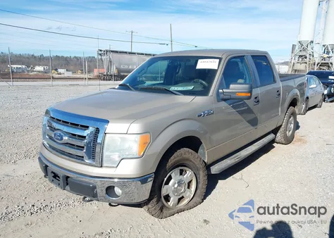 2010 Ford F-150 Xl/Xlt from USA, damaged, VIN 1FTEW1E88AFB29238